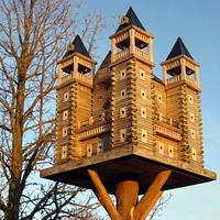 Extreme Birdhouses 