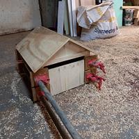 SNOOPY NEWSPAPERS BOX-HOUSE