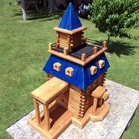 Extreme Birdhouses 