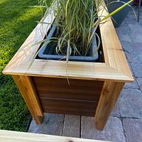 Planter boxes 