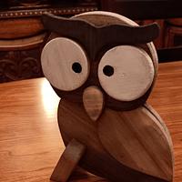 An Owl for my Grand daughter - Project by MrRick