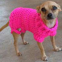 Sweetness - Crochet Dog Sweater - Project by michesbabybout