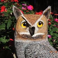 "Great Horned Owl"    ...   carving.