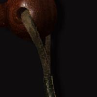 From Coconut To Birdhouse