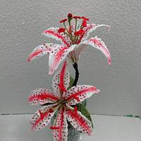 Candy Cane Oriental Lily Flower Pattern