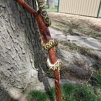 Rattlesnake cane