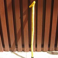 WALKING STICK MADE FROM BOAGAINVILLIA GROWING IN MY BACK YARD