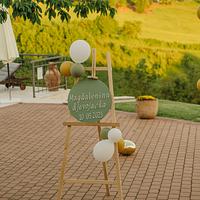 BACHELORETTE PARTY SIGN