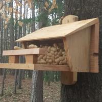 Squirrel Nut House - Project by Eric - the "Loft"