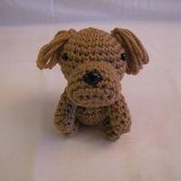 TOY POODLE - Project by Sherily Toledo's Talents