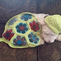 African flower turtle "Blanket" - Project by leslee