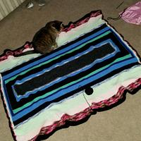 The Family Matters Blanket - Project by Andria