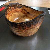 Eucalyptus Bowl - Project by BombayWoodWorks