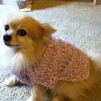 Bentridge Crafts  -A Doggie sweater for a darling doggie