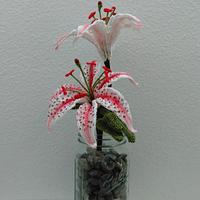 Candy Cane Oriental Lily Flower Pattern