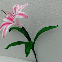 Free Crinum Lily Pattern (Milk and Wine)