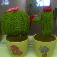Cactus - Project by Tina