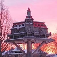 Extreme Birdhouses! Winter Time in Belgrave!