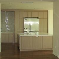 Kitchen and Built-In