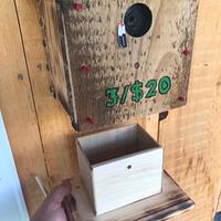 Birdhouse Money Box