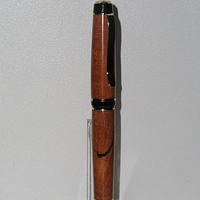 Chrysalis of a Pen