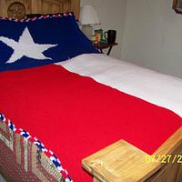 Texas Flag - Project by catconrad