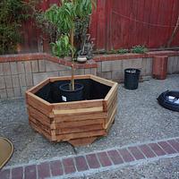 Quick and Dirty Planter - Project by lanwater
