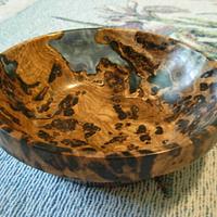 Holey Burl Bowl - Project by Jim Jakosh