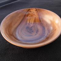 Last Eucalyptus Bowl