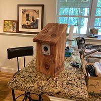 Webcam Birdhouse - Project by Alan Sateriale