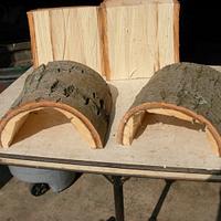 Turtle Tunnels