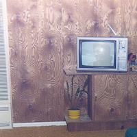 Didn’t like the pink elephants.