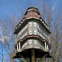 Extreme Birdhouses  - Project by John L