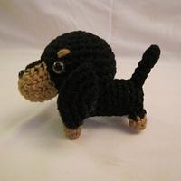 DACHSHUND BLACK & BROWN