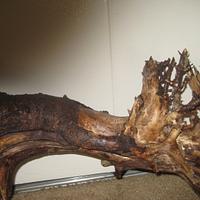Hand carve oak root sculptur - Project by Harvey  Daniels