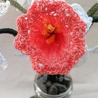 Crochet Cotinga Daffodils (Pink Species)