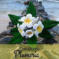 Frangipani Plumeria - Project by Flawless Crochet Flowers