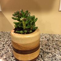 Wooden Flower Pots  - Project by Leldon Maxcy
