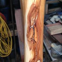 Apple wood cane