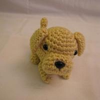 YELLOW LABRADOR RETRIEVER - Project by Sherily Toledo's Talents