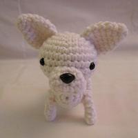 CHIHUAHUA - WHITE - Project by Sherily Toledo's Talents