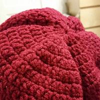 Crocheted Slouchie Beanie