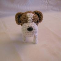 JACK RUSSELL TERRIER