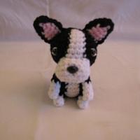 BOSTON TERRIER