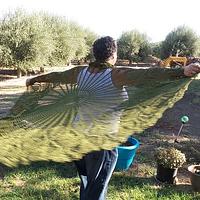 Mossy Green Shawl