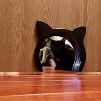Cat door - Project by Narinder Jugdev