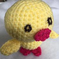 Baby chick named CUTE - Project by MsDebbieP