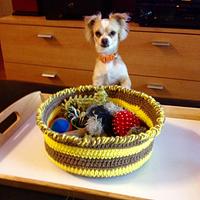 Basket - Project by Terri