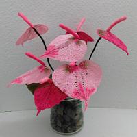 Princess Anthuriums