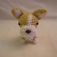 WELSH CORGI - Project by Sherily Toledo's Talents